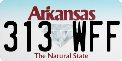 AR license plate 313WFF