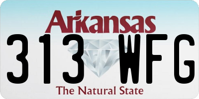 AR license plate 313WFG