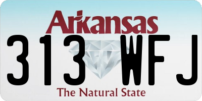 AR license plate 313WFJ