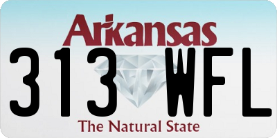 AR license plate 313WFL