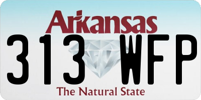 AR license plate 313WFP