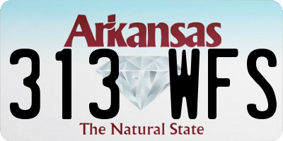 AR license plate 313WFS