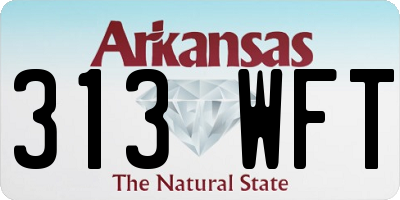 AR license plate 313WFT