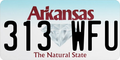 AR license plate 313WFU