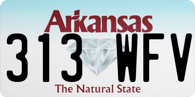 AR license plate 313WFV