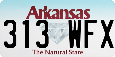 AR license plate 313WFX
