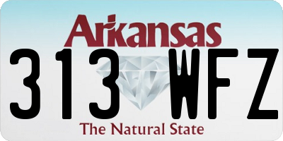 AR license plate 313WFZ