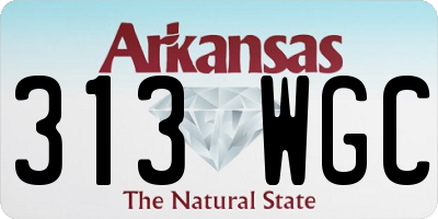 AR license plate 313WGC
