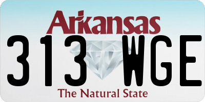 AR license plate 313WGE