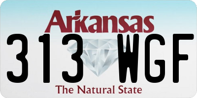 AR license plate 313WGF