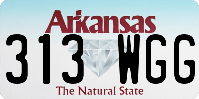 AR license plate 313WGG