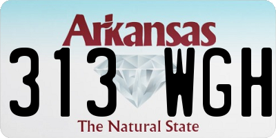 AR license plate 313WGH