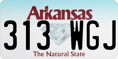 AR license plate 313WGJ