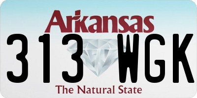 AR license plate 313WGK