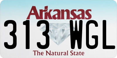 AR license plate 313WGL