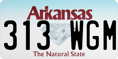AR license plate 313WGM