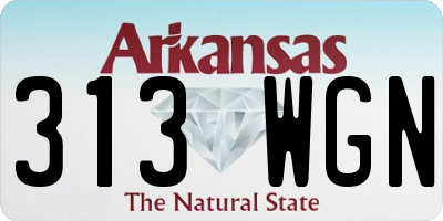 AR license plate 313WGN