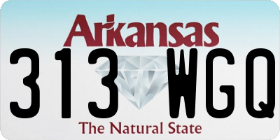 AR license plate 313WGQ
