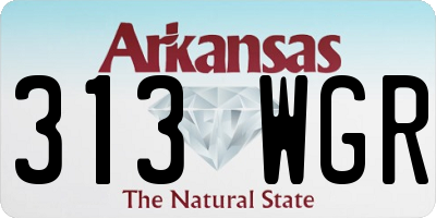 AR license plate 313WGR