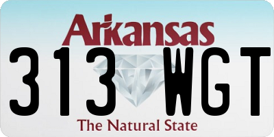 AR license plate 313WGT