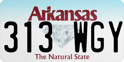AR license plate 313WGY