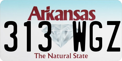AR license plate 313WGZ