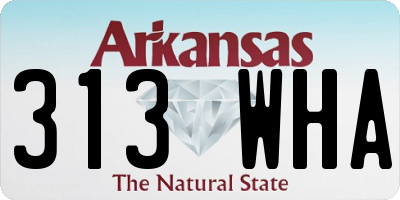 AR license plate 313WHA