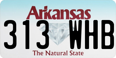 AR license plate 313WHB