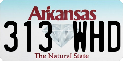 AR license plate 313WHD