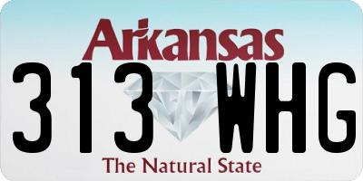 AR license plate 313WHG