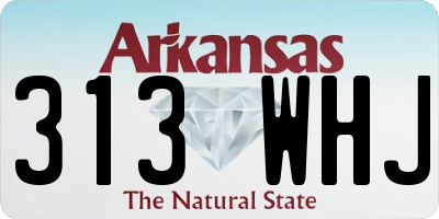 AR license plate 313WHJ