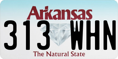 AR license plate 313WHN