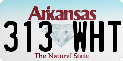 AR license plate 313WHT