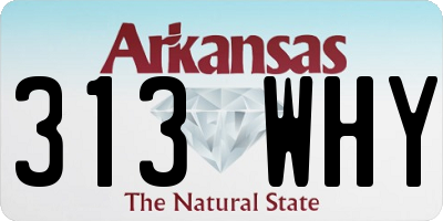 AR license plate 313WHY