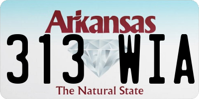AR license plate 313WIA