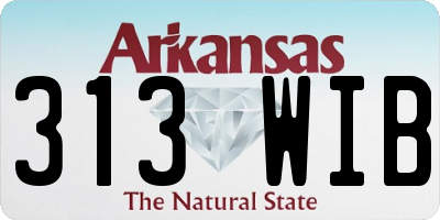 AR license plate 313WIB