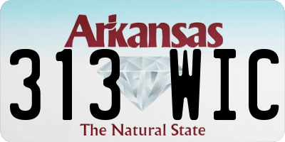 AR license plate 313WIC