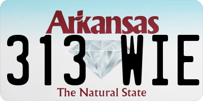 AR license plate 313WIE