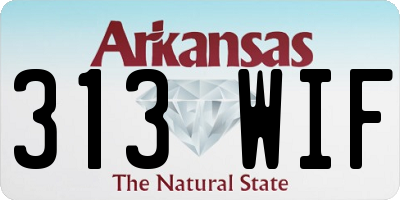 AR license plate 313WIF
