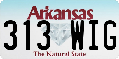 AR license plate 313WIG