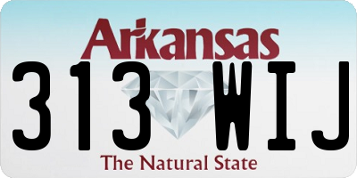 AR license plate 313WIJ