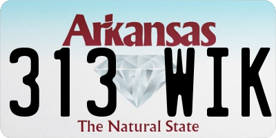 AR license plate 313WIK