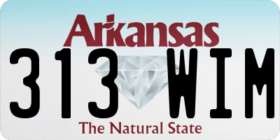 AR license plate 313WIM