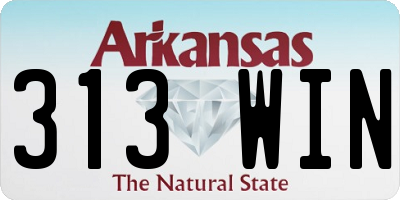 AR license plate 313WIN