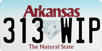 AR license plate 313WIP