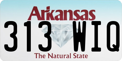 AR license plate 313WIQ