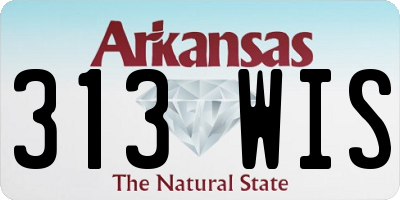 AR license plate 313WIS