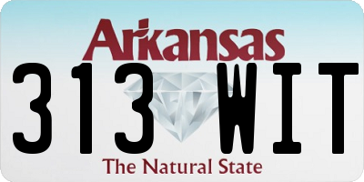 AR license plate 313WIT