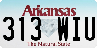 AR license plate 313WIU