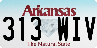 AR license plate 313WIV